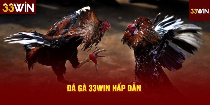 Những điểm thu hút người chơi khi tham gia đá gà 33Win