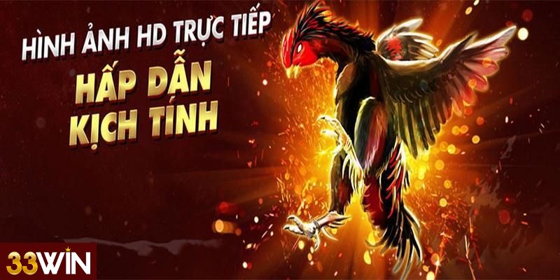 Cách thức hoạt động của Đá gà 33win