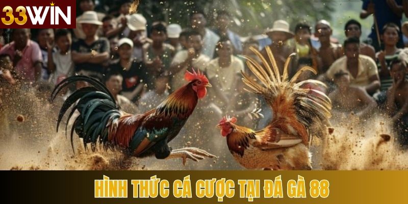 Cập nhật những thể loại chọi gà hấp dẫn nhất tại 33Win