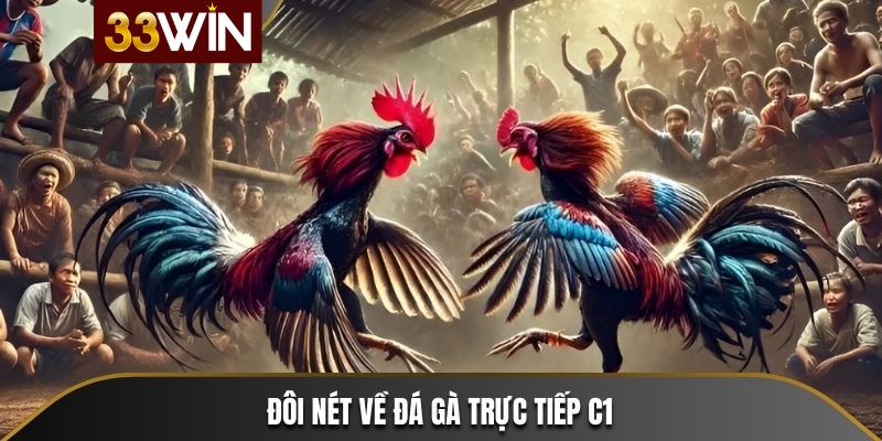 Một số thông tin cơ bản về đá gà trực tiếp C1 tại 33win