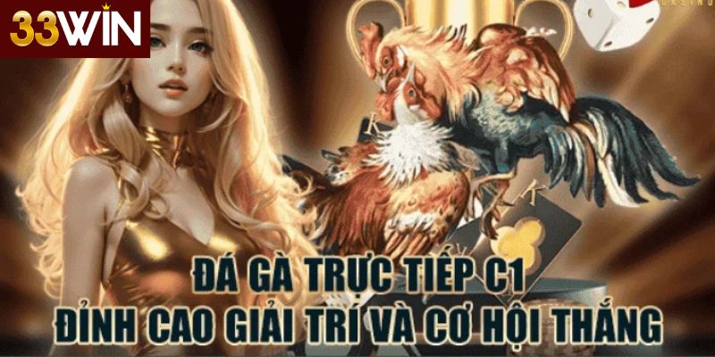 Quy tắc thi đấu đá gà C1 33win chi tiết